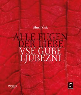 Cover: Alle Fugen der Liebe / Vse gube ljubezni