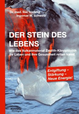 Cover: Der Stein des Lebens