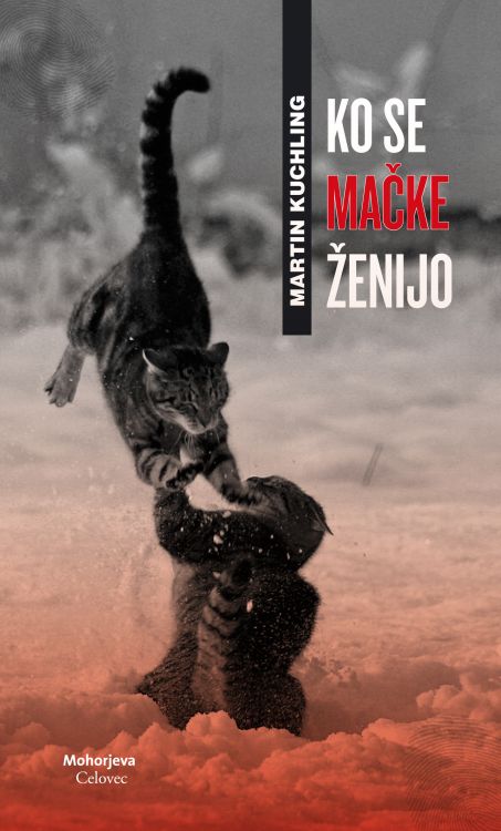 Cover: Ko se mačke ženijo