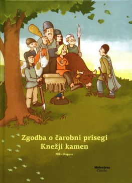 Cover: Zgodba o čarobni prisegi - Knežji kamen