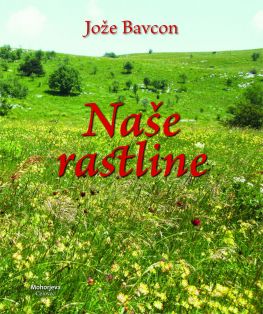 Cover: Naše rastline