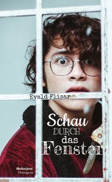 Cover: Schau durch das Fenster