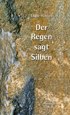 Cover: Der Regen sagt Silben