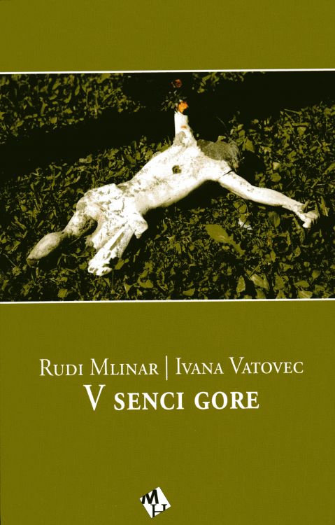Cover: V senci gore