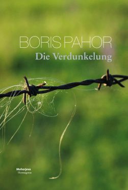 Cover: Die Verdunkelung