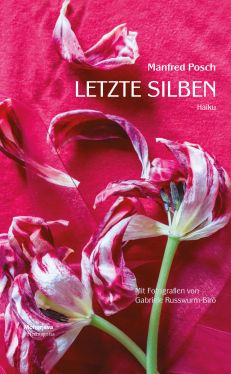 Cover: Letzte Silben