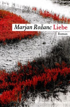 Cover: Liebe