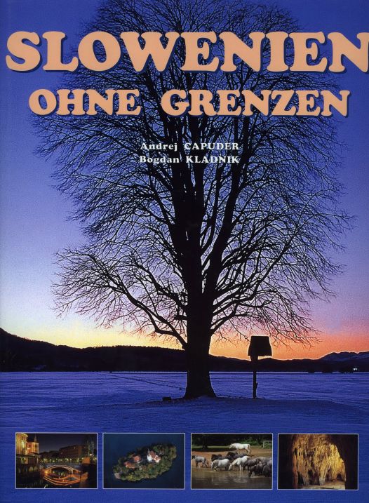 Cover: Slowenien ohne Grenzen